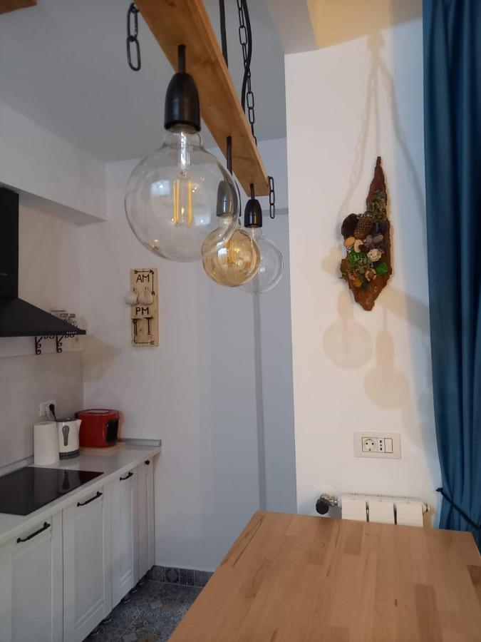 Belleview North Studio Apartment Sinaia Exterior photo