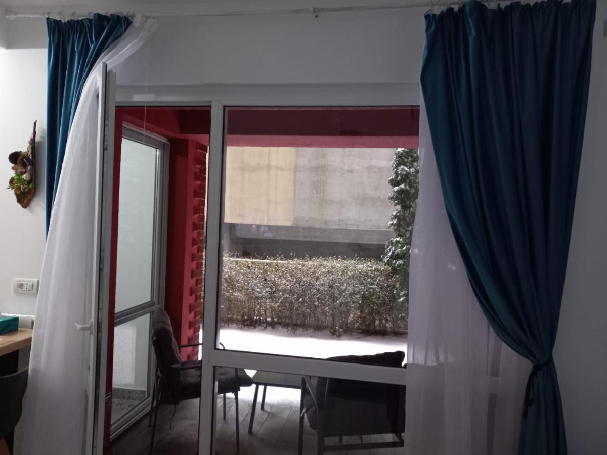 Belleview North Studio Apartment Sinaia Exterior photo